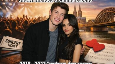 shawn mendes freundin