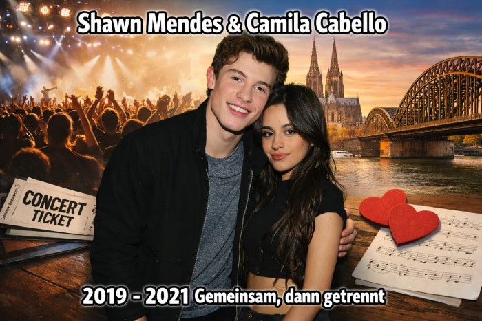 shawn mendes freundin