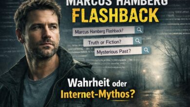 Marcus Hamberg Flashback